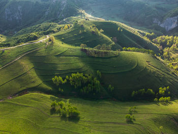 Summer green landscape in the transylvanian hills, apuseni mountains