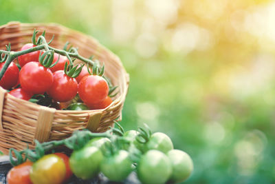 Close-up of cherry tomatoes in basket outdoors