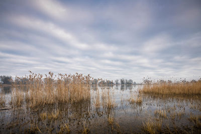 Scenic view of lake against sky