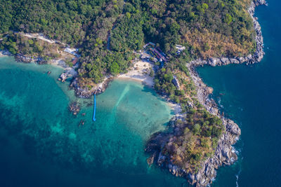 High angle view of sea and trees