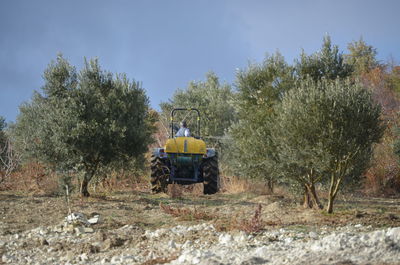 Tractor sprinkle olive trees with medicines on field against sky