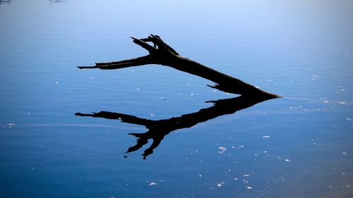 High angle view of silhouette people in lake against sky