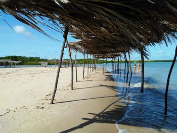 Palm trees on beach against sky