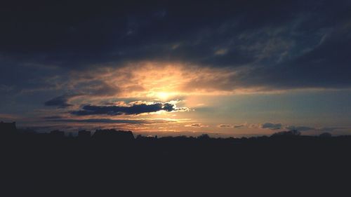 Silhouette of trees at sunset