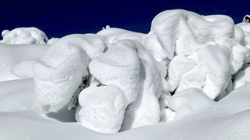 Close-up of snow on ice
