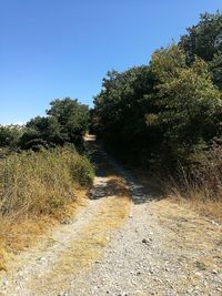 Scenic view of landscape against clear sky