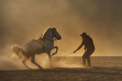  bromo horseman action for camera at the mountainside of mount bromo