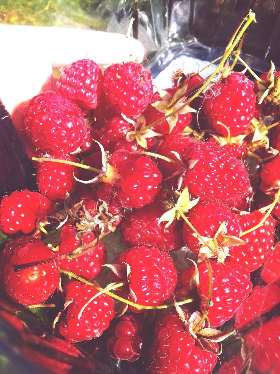 red, food and drink, fruit, food, strawberry, freshness, healthy eating, berry fruit, raspberry, berry, indoors, close-up, cherry, ripe, abundance, juicy, still life, high angle view, no people, large group of objects