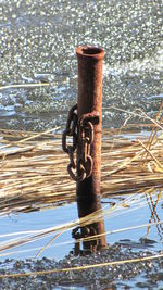 Close-up of rusty chain