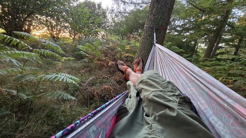 Low angle view of woman standing against trees