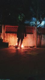 Rear view of woman standing against illuminated building at night