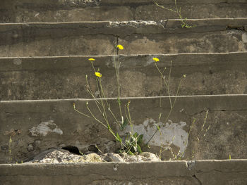 Full frame shot of yellow wall