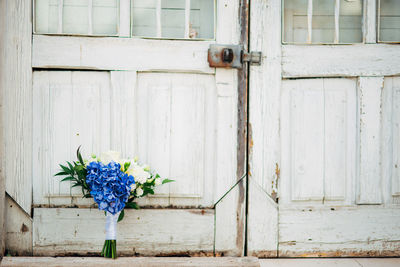 Blue flower pot on wooden door of building