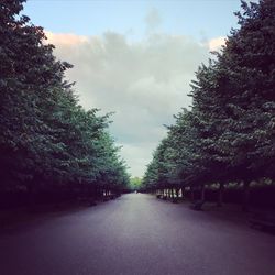 Empty road with trees in background