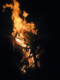 Close-up of campfire at night