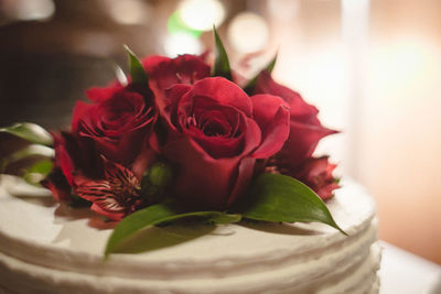 Close-up of rose in vase