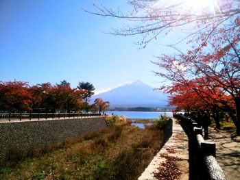 Scenic view of trees and mountains against sky