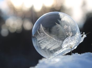 Close-up of snow on glass