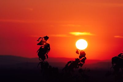 Silhouette people on land against sky during sunset