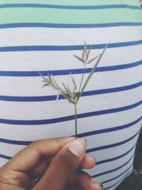 Cropped image of person holding twig against striped fabric