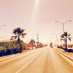 Empty road along trees