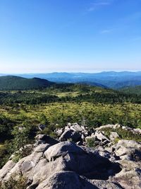 Scenic view of landscape against clear blue sky
