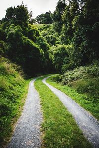 Road passing through landscape