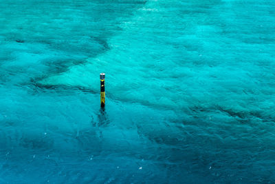 High angle view of person by swimming pool