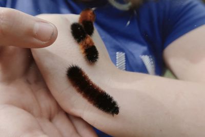 Close-up of person holding hand