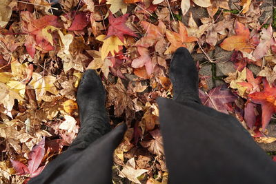 Low section of person standing on dry leaves