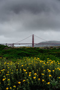 View of suspension bridge against cloudy sky