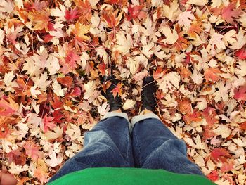 Low section of person standing on autumn leaves