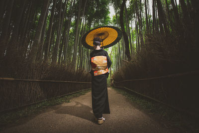 Rear view of woman with umbrella standing amidst trees