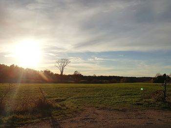 Scenic view of field against sky during sunset