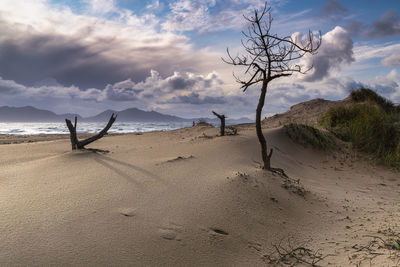 Scenic view of beach against sky