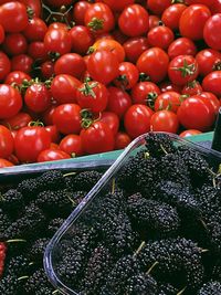 High angle view of tomatoes for sale at market stall