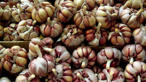 Full frame shot of onions for sale