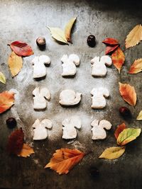 High angle view of autumn leaves on floor