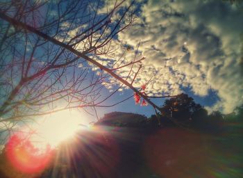 Low angle view of trees against cloudy sky