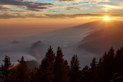 Silhouette trees and mountains with mist against sky during sunset