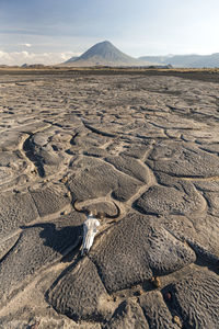 Aerial view of arid landscape