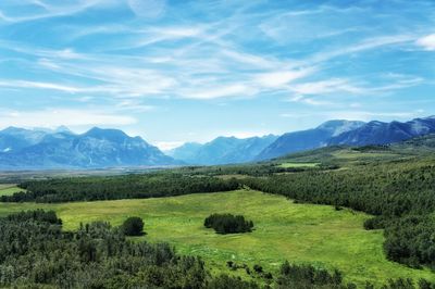 Scenic view of green landscape against sky