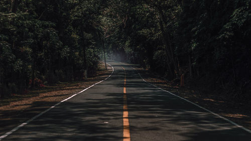 Empty road amidst trees in forest