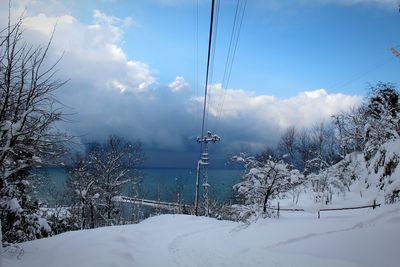 Low angle view of bare trees on snow covered landscape