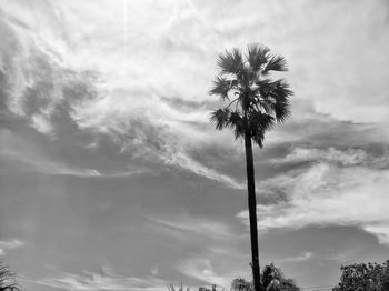 Low angle view of coconut palm tree against sky