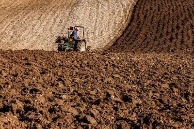 People working on agricultural field