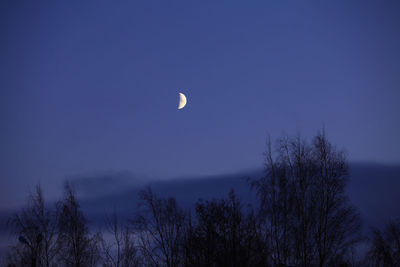 Low angle view of moon in sky at night