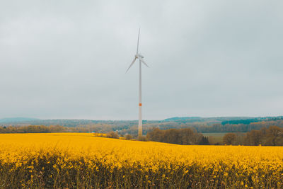 Scenic view of oilseed rape field against sky