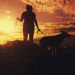 Silhouette of woman at sunset