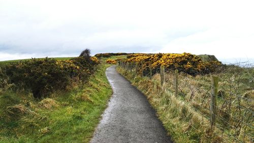 Road amidst plants on field against sky